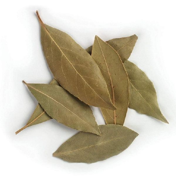Dry Bay Leaf
